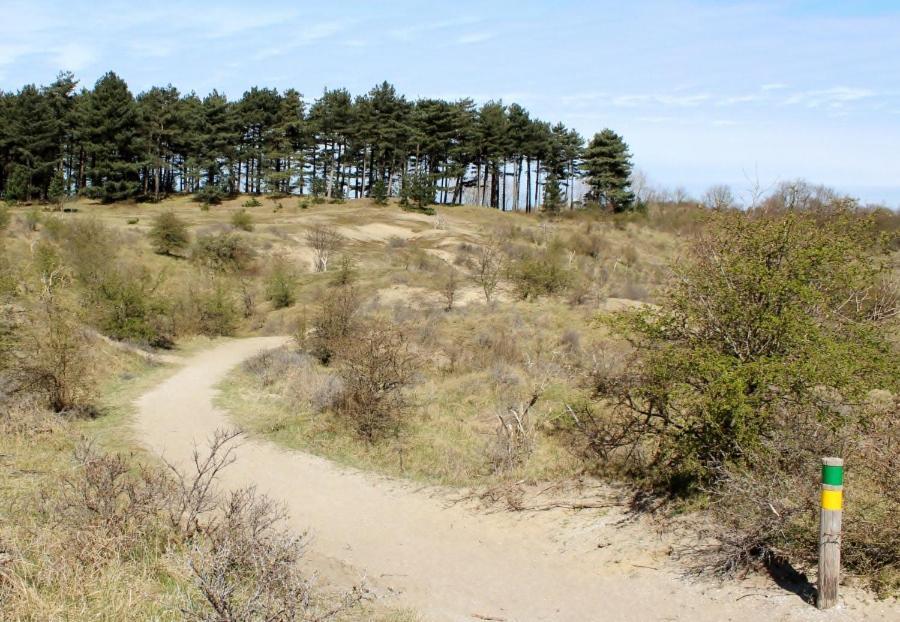 Beach&Dunes Apartment Zandvoort Εξωτερικό φωτογραφία