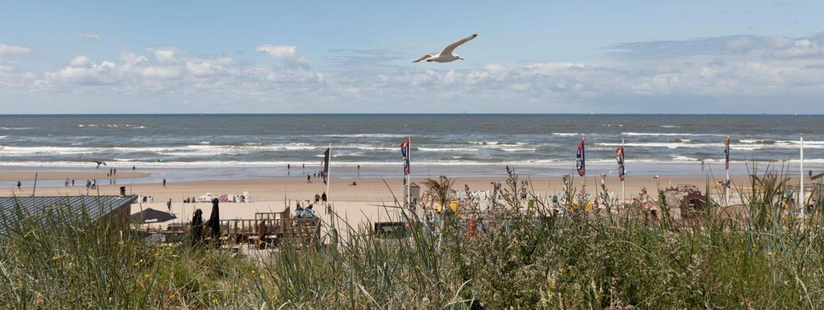 Beach&Dunes Apartment Zandvoort Εξωτερικό φωτογραφία